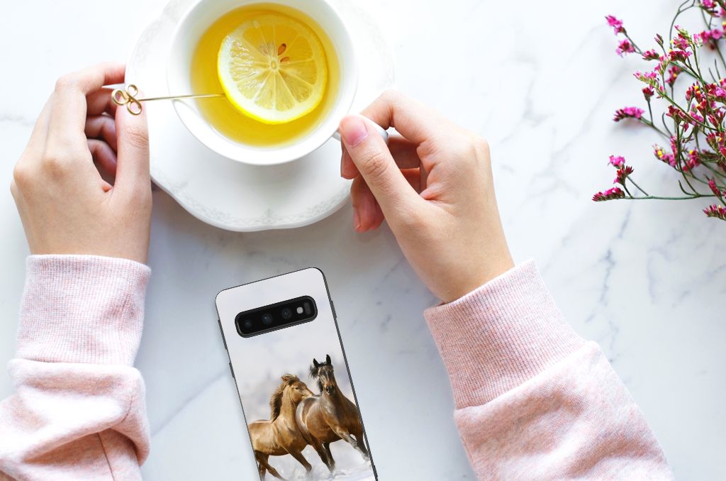 Samsung Galaxy S10 Back Cover Paarden