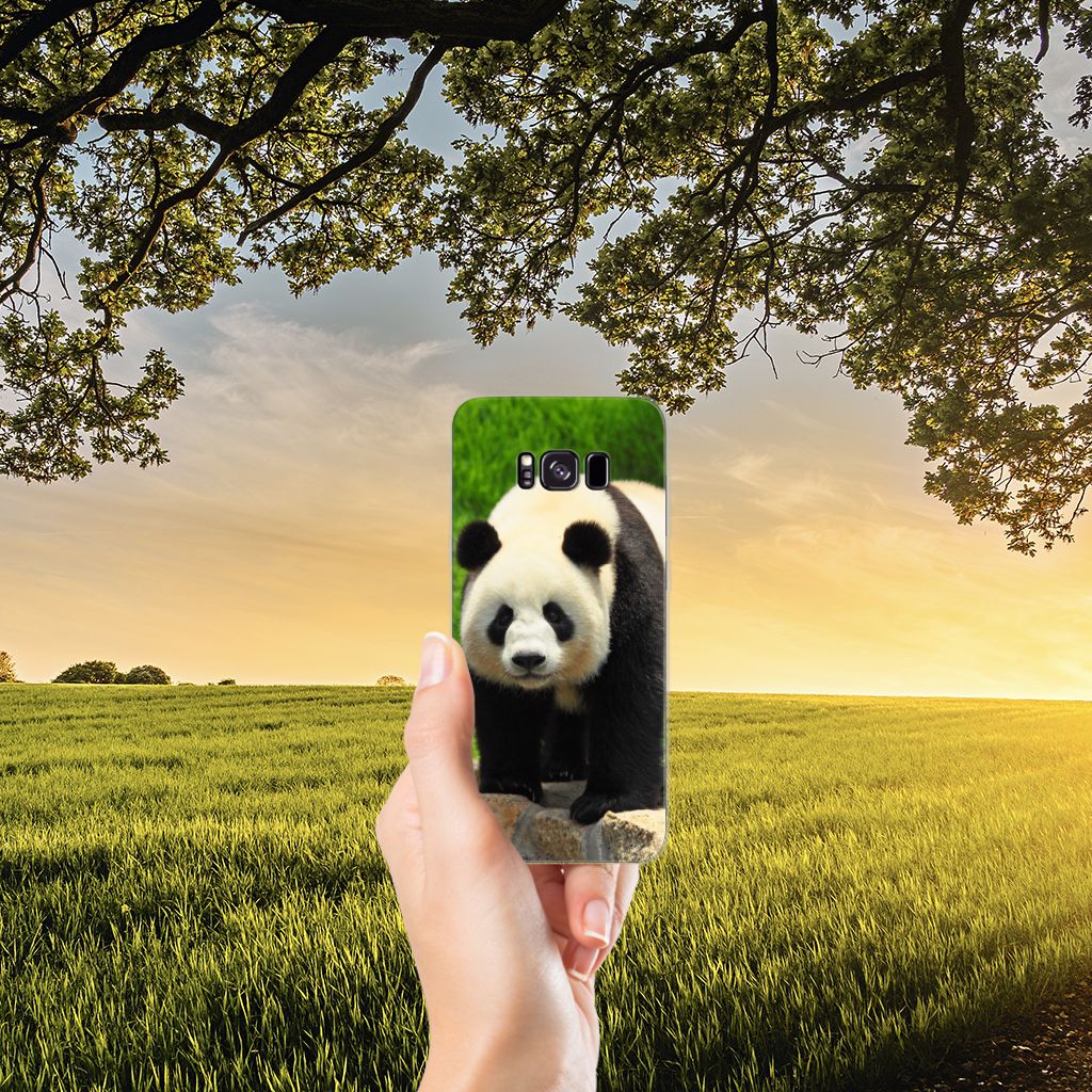 Samsung Galaxy S8 Plus TPU Hoesje Panda