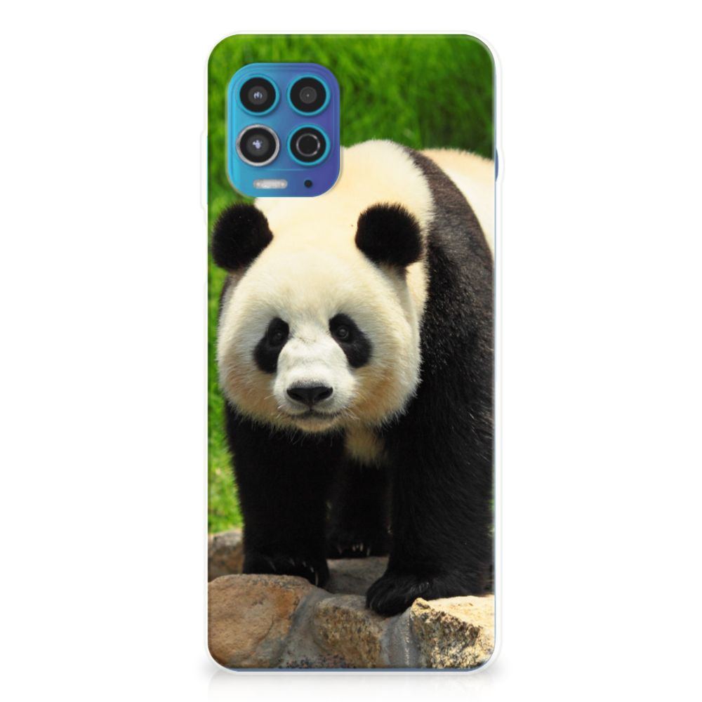 Motorola Moto G100 TPU Hoesje Panda